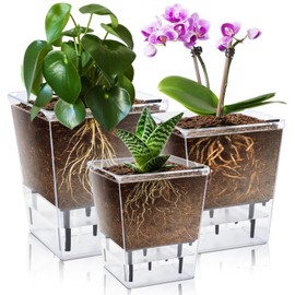 IWNTWY Self Watering Pots Set, 3 Pack 5/4.1/2.7 Inch Self Watering Pot for Indoor Plants, Clear Flowers Pot Planter with Deep Reservoir for Spider Plant, Orchid, African Violet