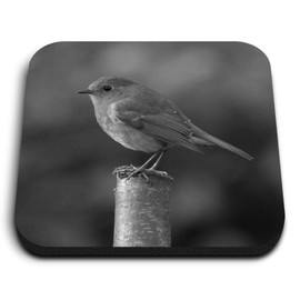 1 x Square MDF Fridge Magnet - Robin Wildlife England 35771