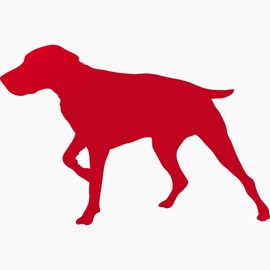 CafePress German Shorthaired Pointer Snapback Trucker Hat Black/White