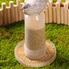 AIMALL Bird Automatic Feeder - Chicken, Pigeon, Parrot Feeder &