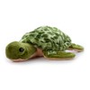The Petting Zoo Sea Turtle Stuffed Animal, Gifts for Kids,