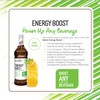 Monin - Energy Boost, Liquid Energy Supplement, Subtle Tea Flavor,