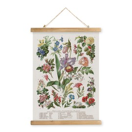 MIDEFINCH Vintage Botanical Poster Print of Familiar Flowering Plants - Rustic Wooden Hanger Frame Linen Canvas Wall Decor for Living Room Bedroom Office 20 X 30 inches