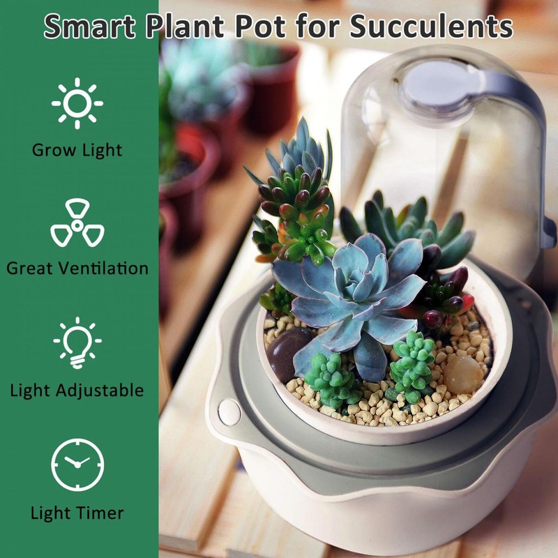 Smart Planter with Grow Light Indoor Minimalist Design LED Succulent