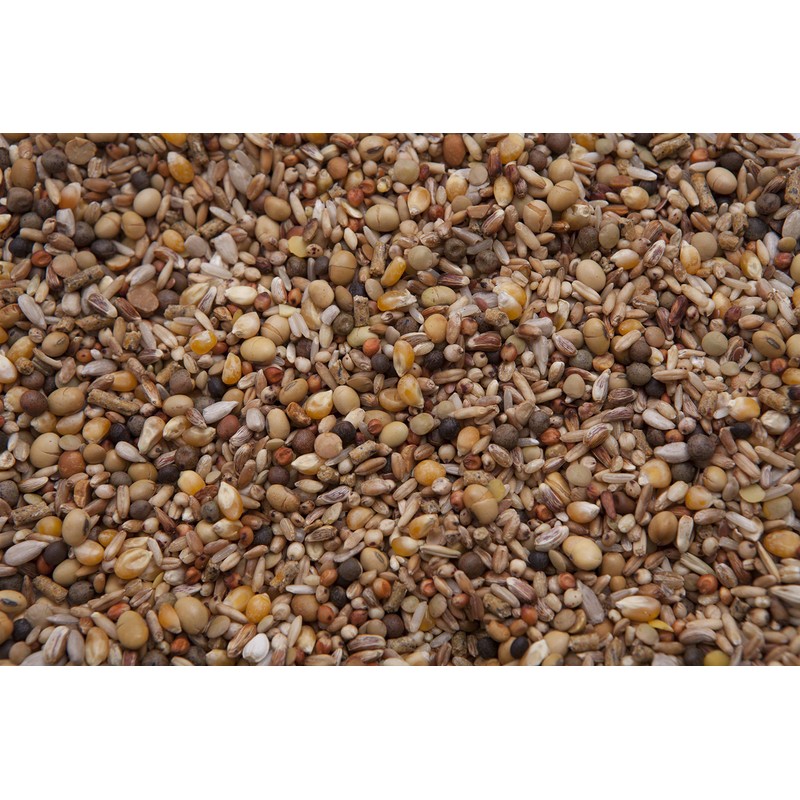 Squab Builder Pigeon Mix (18%) 8 lbs