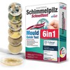 Mould test