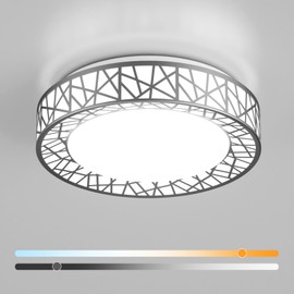 Lightania 16 Inch Flush Mount Ceiling Light, Modern Brushed Nickel LED Ceiling Light Fixture, 28W 2800LM 2700-6500K Adjustable, Dimmable Ceiling Lights for Bedroom, Kitchen, Hallway, Bathroom, ETL