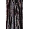 madagascar vanilla beans grade A 1 kg