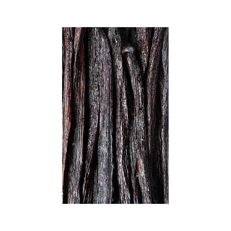 madagascar vanilla beans grade A 1 kg