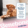 Benebone - Fishbone Puppy 2-Pack Mini 12 cm - (81005421033)