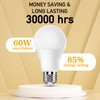 Full Spectrum Light Bulb, 6000K Natural Sunlight Bulbs, 9W 60W