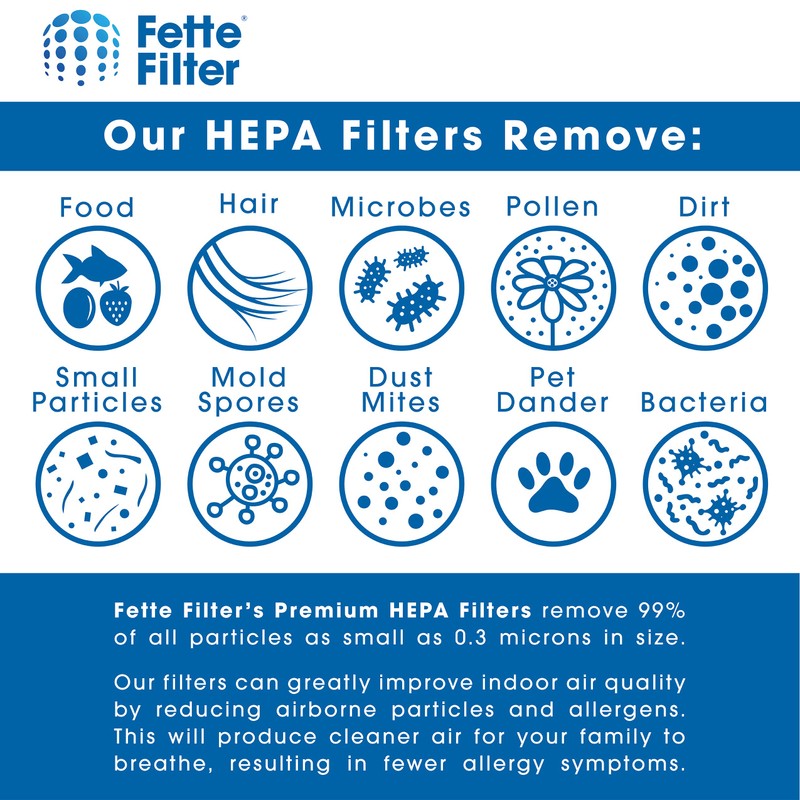 DCF-4 HEPA Replacement Filter Compatible with EUREKA Powerline Maxima LightSpeed