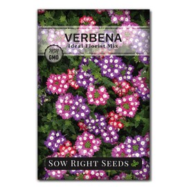 Sow Right Seeds - Ideal Florist Mix Verbena Seeds for Planting - Non-GMO Heirloom Seeds - Creeping Perennial - Multicolor Blooms - Wildflower and Ground Cover Plant - Attract Butterflies and Bees (1)