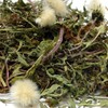 민들레 민들레꽃 포공영차 포공영 200g 국산 입욕제 Dandelion Dandelion Flower