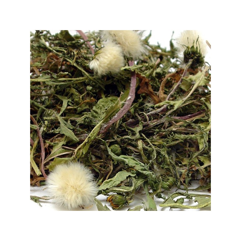 민들레 민들레꽃 포공영차 포공영 200g 국산 입욕제 Dandelion Dandelion Flower