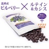 大日ヘルシーフーズ ブルーベリー ルテイン 60粒入（錠剤タイプ）×6袋 カシス メグスリの木末配合 サプリ