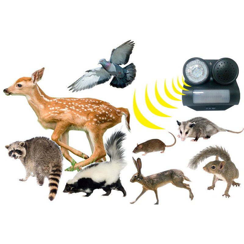 Bird B Gone Sonic Shield - Motion Activated Sonic Animal