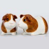 Quail Ceramics - Guinea Pig Salt and Pepper - Dutch
