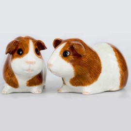 Quail Ceramics - Guinea Pig Salt and Pepper - Dutch