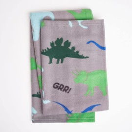 Dreamscene Dinosaur Fleece Throw Over for Kids Blanket Lightweight Soft Warm Bedspread Gift for Girls Boys Children, 120 x 150cm - Grey Blue Green