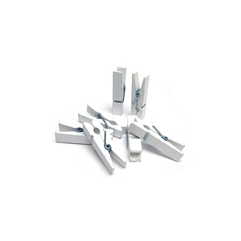 Sepkina 100 Small Cute Mini Decorative Pegs, Clips, Decorative Pegs,