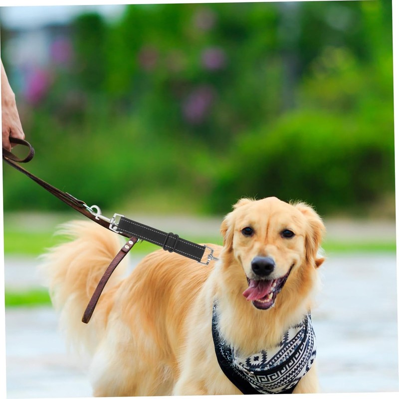 2 Pcs Black Dog Collar Clips, Durable Adjustable Dog Collar