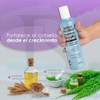 Nefertiti Shampoo Cola de Caballo Nefertiti con Keratina, Estimula y