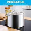Stainless Steel Pasta Pot with Locking Strainer Lid, 5.5 Quart
