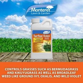 Monterey Turflon Ester Bundled with Measuring Spoon - Specialty Herbicide - Controls Annual & Perennial Broadleaf Weeds - 8 oz