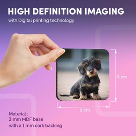Destination Vinyl ltd Great Coasters (Set of 4) Square - Wire Haired Dachshund Puppy Drink Glossy Coasters/Tabletop Protection for Any Table Type #2730