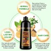 Sefudun Shampoo Cubre Canas Con Tinte