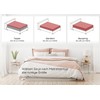 BEAUTEX Cotton Fitted Sheet, Premium Jersey Fabric, 160 g/m², Choice