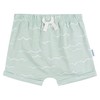 Gerber Baby Boys T-Shirt and Shorts Set, Waves, 18 Months