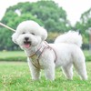 PawSailor Step-in Dog Harness Small Dogs, No Pull Adjustable Soft