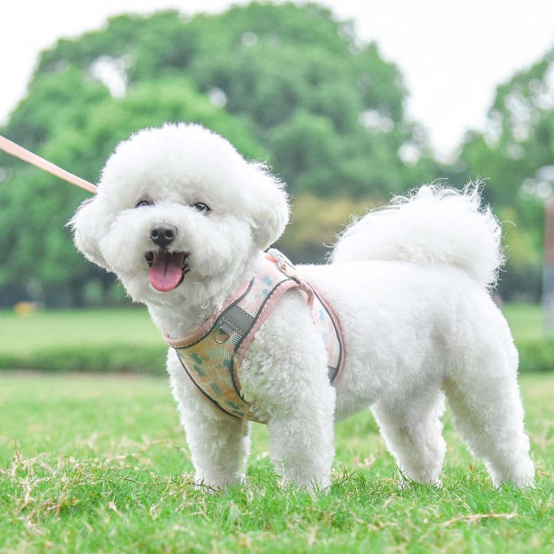 PawSailor Step-in Dog Harness Small Dogs, No Pull Adjustable Soft