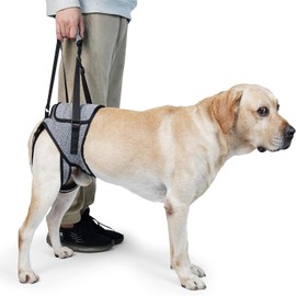 Dog Lift Harness for Back Legs, Dog Support Sling, Adjustable Dogs Leg Brace for Hind Leg for Large Medium Small, Pet Rear Aid Support Strap for Injured Disabled Elderly Dogs Walking Aid (S)