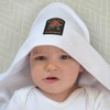 Azeeda 'My Other Vehicle is a Dice Roller' Baby Hooded