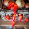Lights4fun 20er LED Chilli Lichterkette rot batteriebetrieben Chilli Geschenkset Chilli