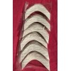 True Tape,LLC. Supertape AA Contour_ Double-Side_ Toupee Tape_216 PC Lace,