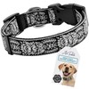 Dog Collar for Medium & Large Dogs - Black Silver