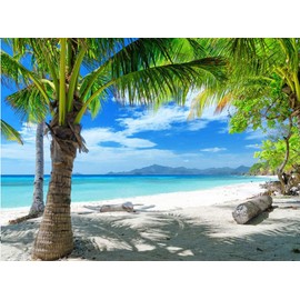 CYLYH 7X5FT Summer Tropical Sea Beach Backdrop Photography Sunset Hawaiian Seaside Ocean Palm Background for Wedding Birthday Party Banner Baby Shower D428