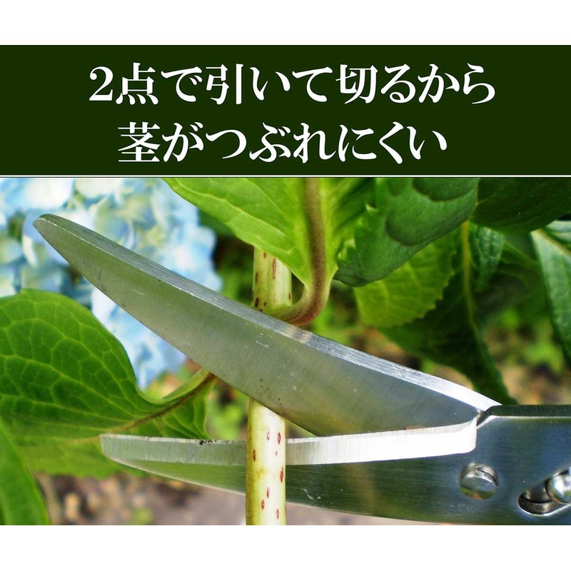 Flower Cutting Childhood Not Pink Ha – /170-m