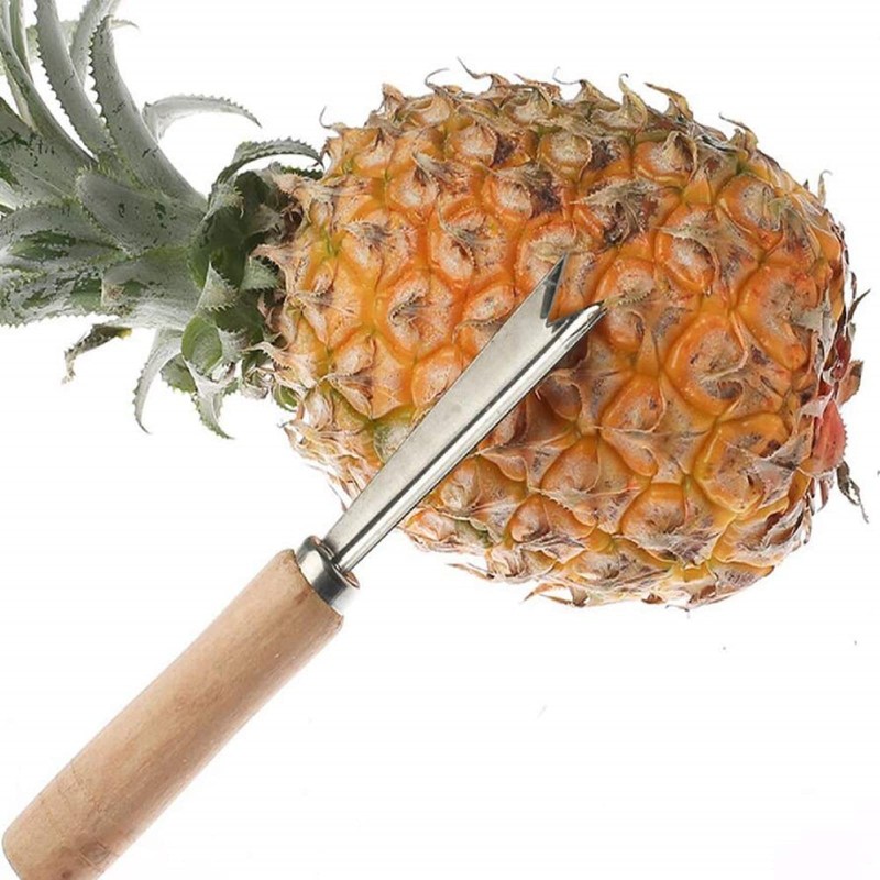 Honfitat Stainless Steel V Shape Pineapple Eye Peeler, 19CM, 40g