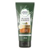 Herbal Essences Acondicionador Herbal Essences Bio:renew 6x Aloe Y Mango