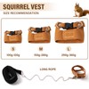 Swirge 3Pcs Rat Harness and Leash, Small Animal Training Walking