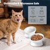 Ewenono 1 Pack White Cat Bowl with Tilted＆Elevated Design,Which Can