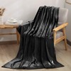 BEDELITE Large Blanket Warm Microfiber Flannel Blanket for All Seasons,