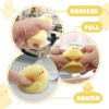 Gytera Handmade Chicken Squishies Soft Fidget Toys Adults, Stress Relief
