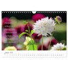 Dahlien Poesie (Wandkalender 2026 DIN A4 quer), CALVENDO Monatskalender: Dahlien