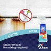Liapu Highly Instant Mold and MildewStain Remover Spray&Wall Stain Remover